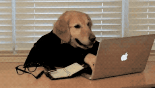 Dog typing on a computer